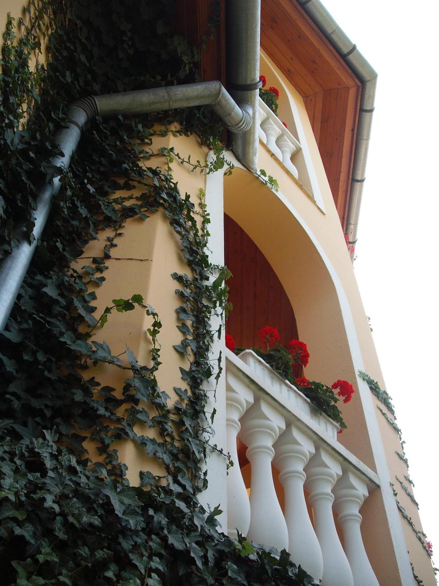 Ilona Kis Kastely Panzio Otel Kestel Dış mekan fotoğraf